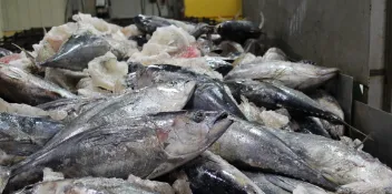 商品こだわりイメージ画像