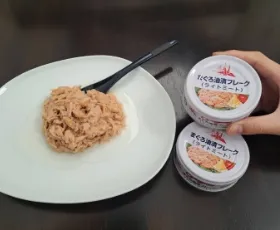 働く様子