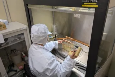 工程⑰ 細菌検査